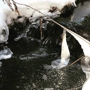 Meet your Posher, Tanya